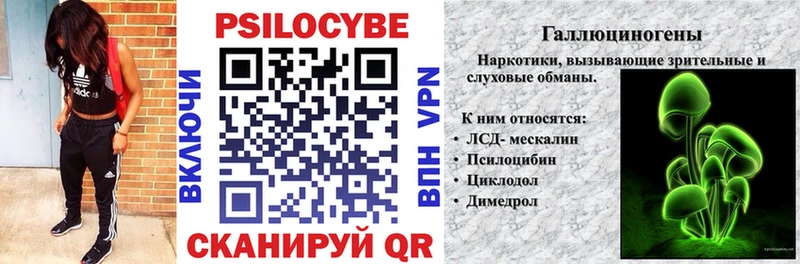 Псилоцибиновые грибы Cubensis  блэк спрут tor  Калининец 